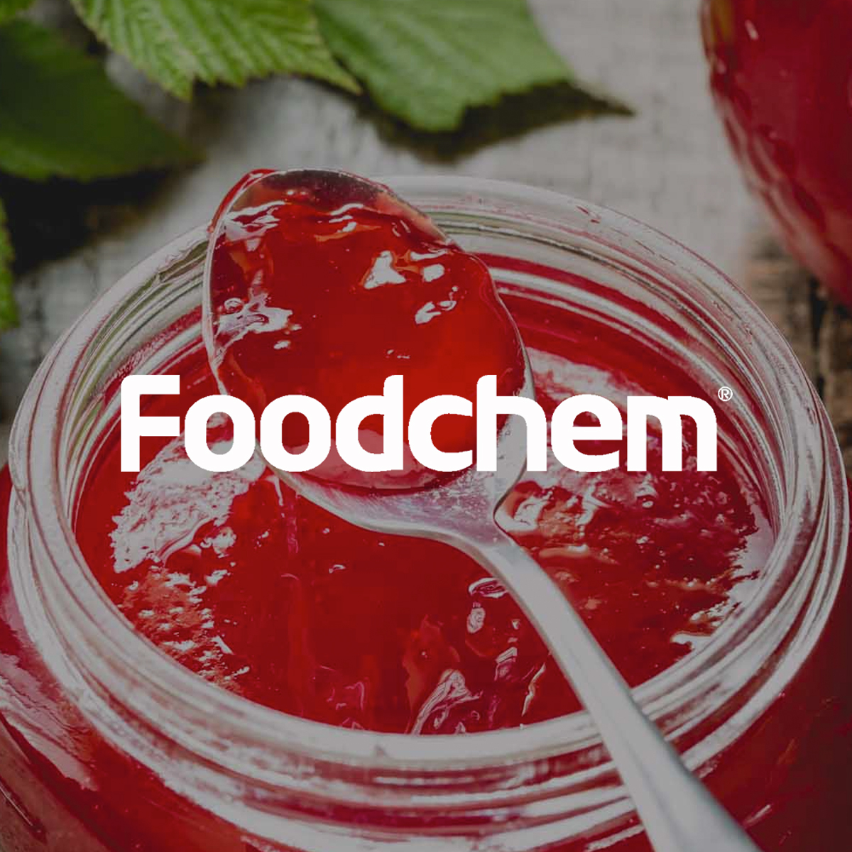 0-Foodchem_Garabito_CR