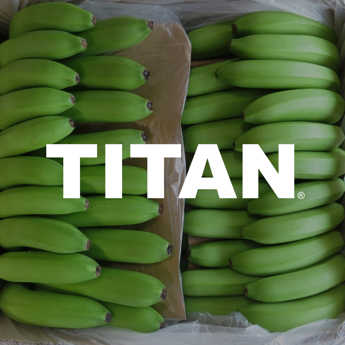 0-Ligas_Titan_Garabito_CR